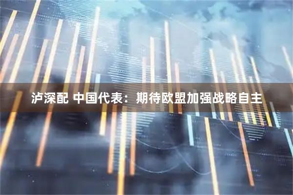 泸深配 中国代表：期待欧盟加强战略自主